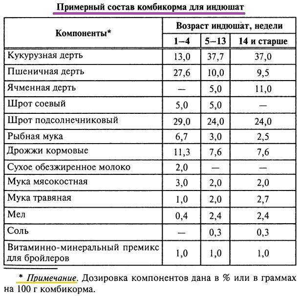 Выращивание цыплят в домашних условиях с первого дня для начинающих