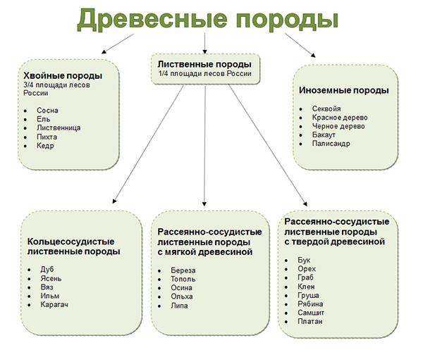 таблица с указанием основных пород древесины