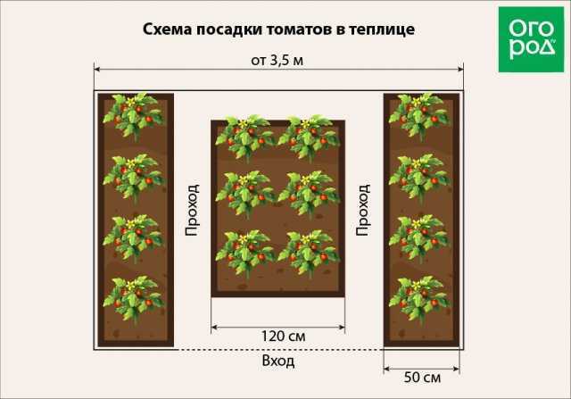 Схема озеленения теплицы