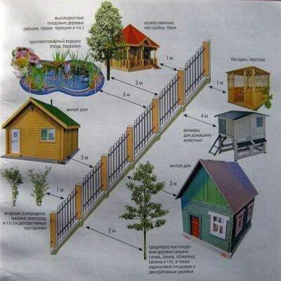 Рекомендуемые расстояния от забора до растений
