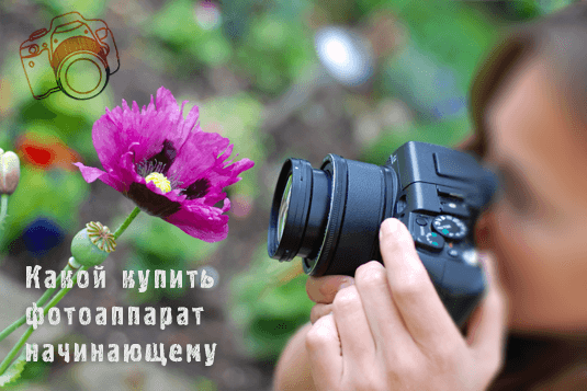 Какую камеру купить начинающему фотографу