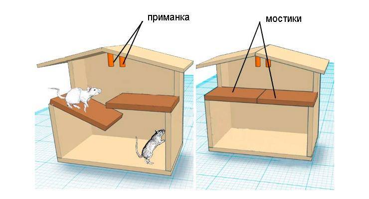 Безопасная ловушка для мышей