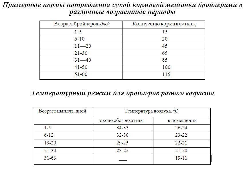 Кормление цыплят-бройлеров