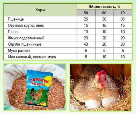 Интервалы между кормлениями